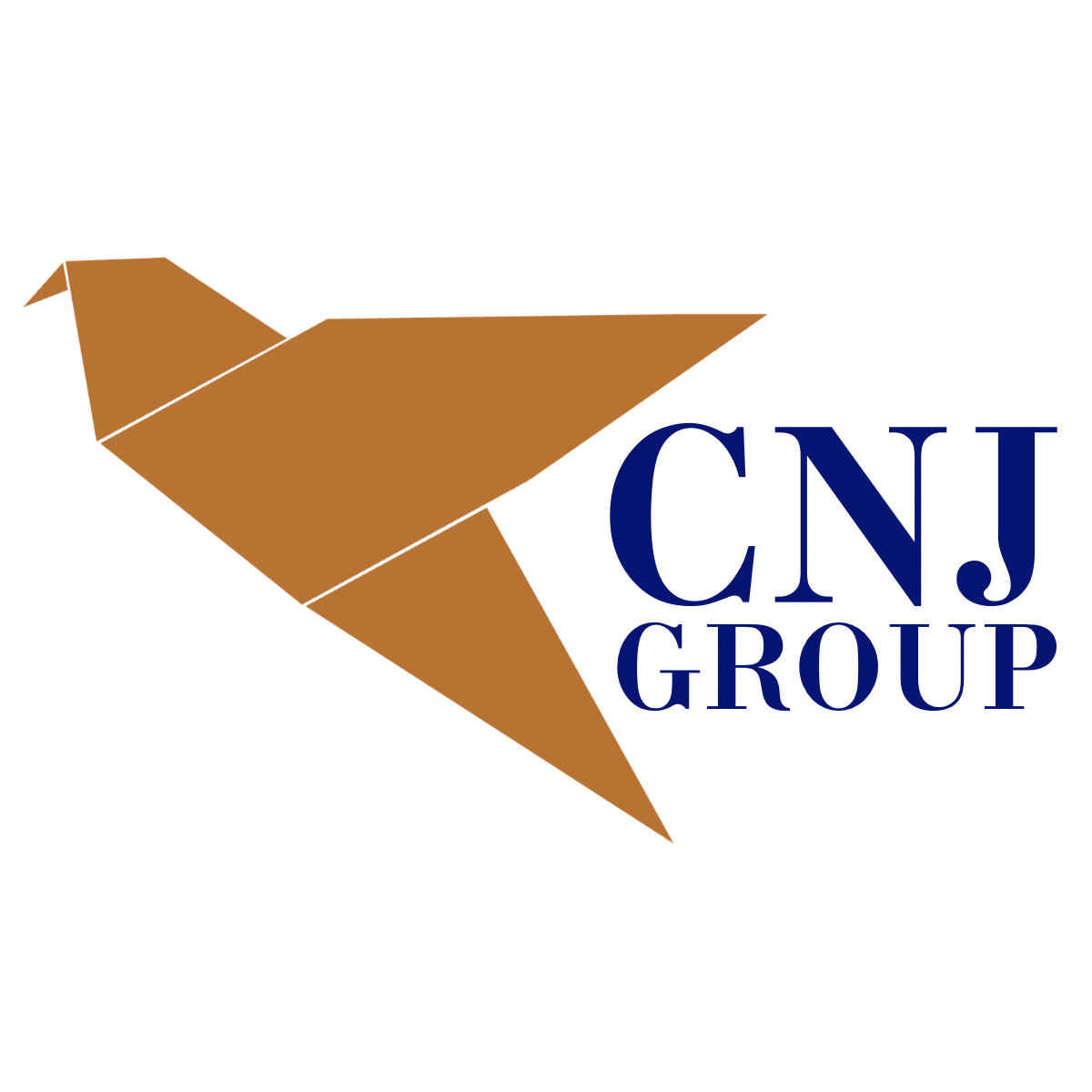 CNJ Group